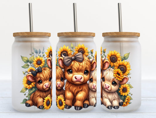 16oz Frosted Glass Cup 3 highland cows and sunflowers
